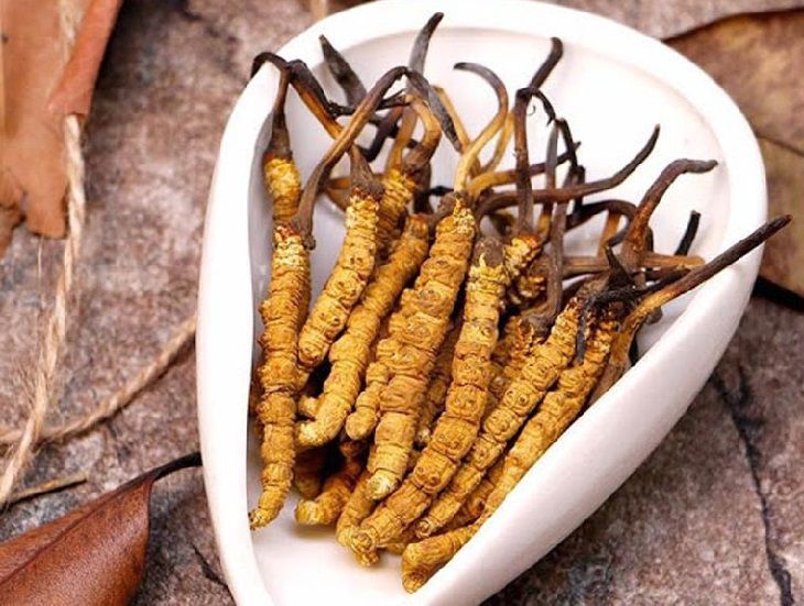 Đông Trùng Hạ Thảo Hữu Cơ Là Gì? Công Dụng, Địa Chỉ Mua, Giá Bán Đông Trùng Hạ Thảo Hữu Cơ Là Gì? Công Dụng, Địa Chỉ Mua, Giá Bán