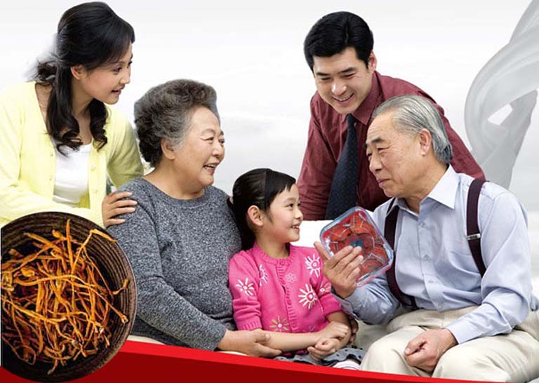 Đông Trùng Hạ Thảo Dùng Cho Đối Tượng Nào Và Ai Không nên Dùng Đông Trùng Hạ Thảo Dùng Cho Đối Tượng Nào Và Ai Không nên Dùng
